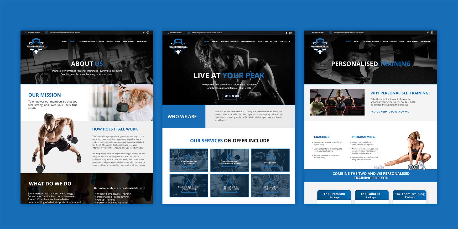 Pinnacle Performance Web Mockup Design